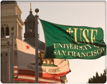 USF Flag