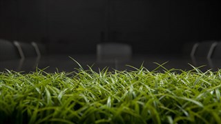 environmental sustainability in your logistics