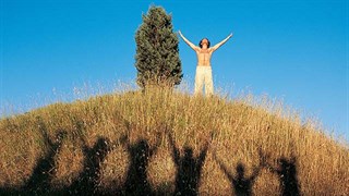 Social Media Community